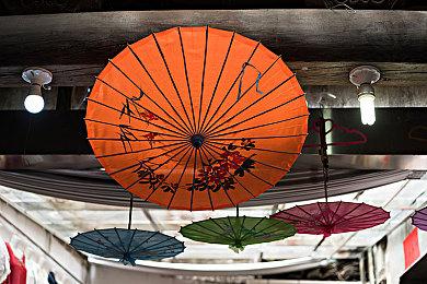 《瘟疫传说：安魂曲》公布支持语言 有中文语音和文本